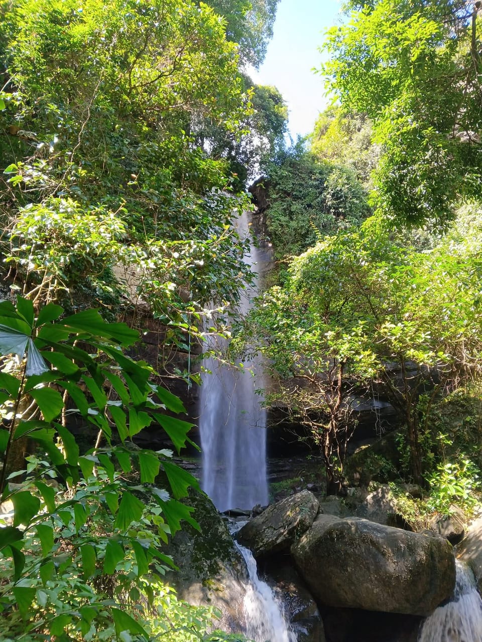 Jungle trail to the waterfall