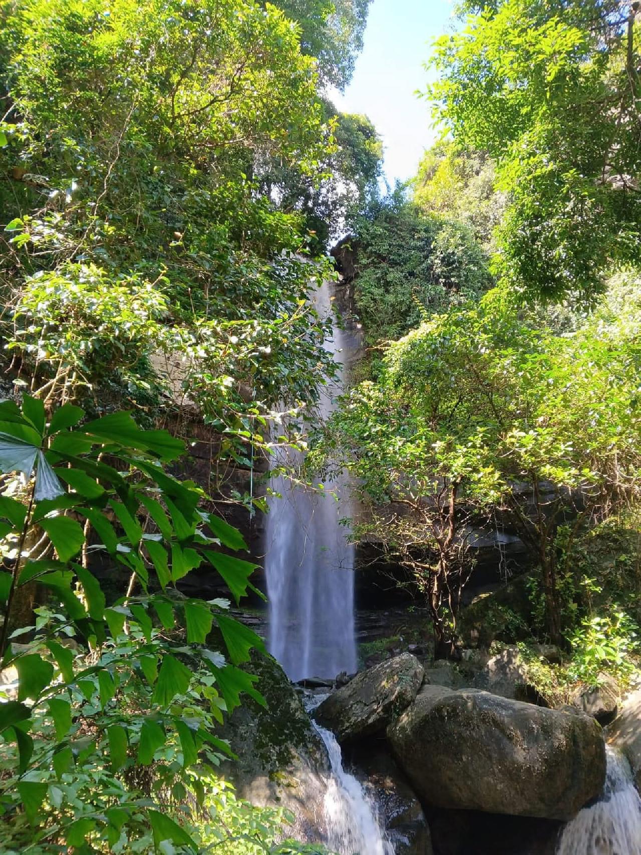 Hidden Waterfall Tour